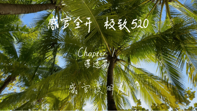 感官全开，极致520