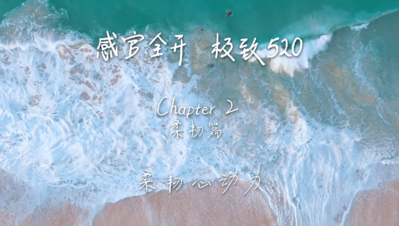 感官全开，极致520